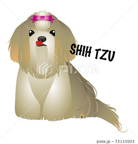 シーズーのイラスト素材