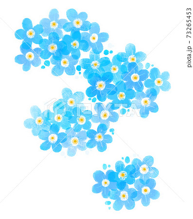 勿忘草のイラスト素材