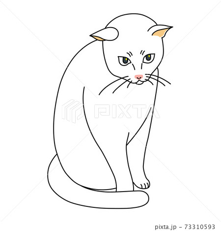 動物 猫 イラスト 正面 全身 座るのイラスト素材