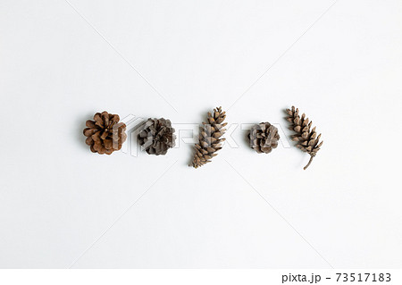 松照片素材- PIXTA