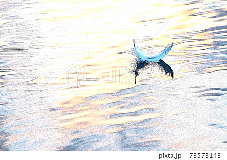 白鳥のイラスト素材集 ピクスタ