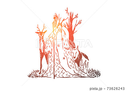 魔法の杖 ファンタジーの写真素材