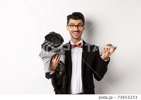 犬 いぬ スーツ かわいい 動物の写真素材