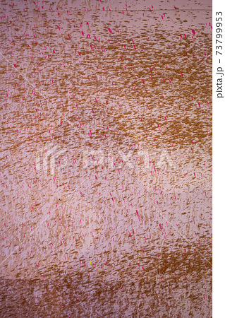 紫色のペンキが吹き付けられた壁,どろどろ,ベチャベチャ、