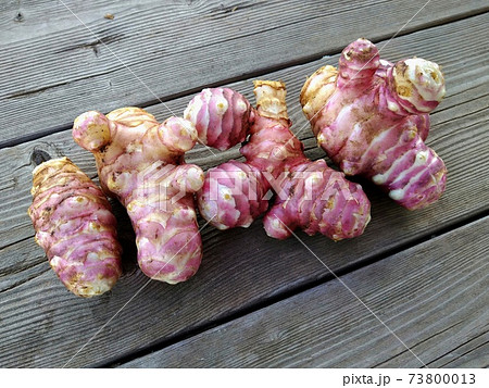 赤菊芋の写真素材