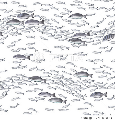 魚の群れのイラスト素材 Pixta