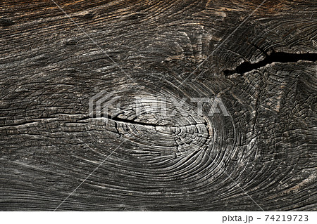 年輪 割れ 木 木材の写真素材