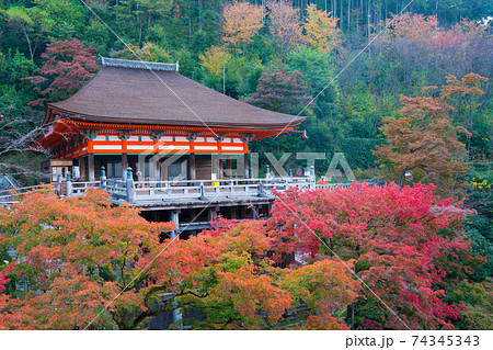 【京都東山清水寺紅葉図(紅葉秋雨)】浅野鶴汀 1003 秋景 共箱 掛け軸 肉筆 京都東山清水寺紅葉図(紅葉秋雨)】浅野鶴汀 1003 秋景 共箱