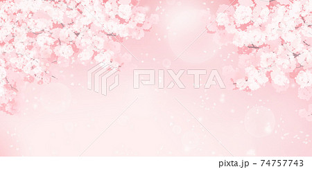 幻想的な桜の写真素材