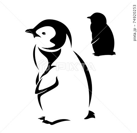 白黒 ペンギンのイラスト素材