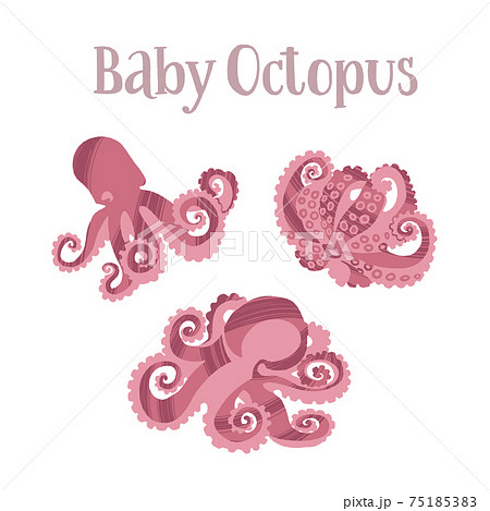 タコのイラスト素材集 ピクスタ