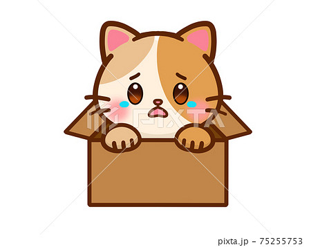 捨て猫のイラスト素材