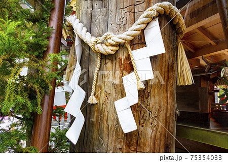 音羽山清水寺内の地主神社にある丑の刻まいりに使われた いのり杉 と五寸釘の穴の写真素材