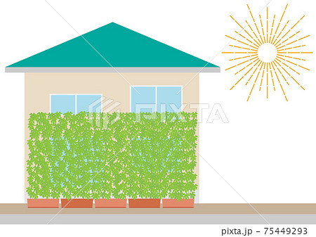 ゴーヤ 緑のカーテン グリーンカーテン 太陽のイラスト素材