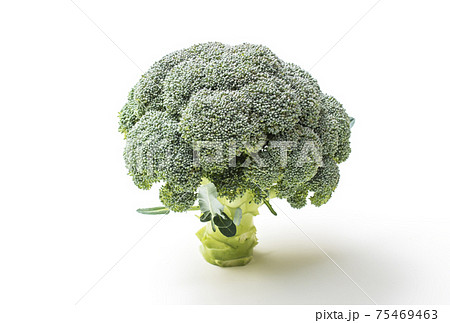 白い食べ物の写真素材 白い食べ物の写真素材