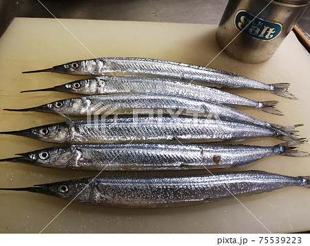 サヨリ さより 塩焼き 焼き魚の写真素材