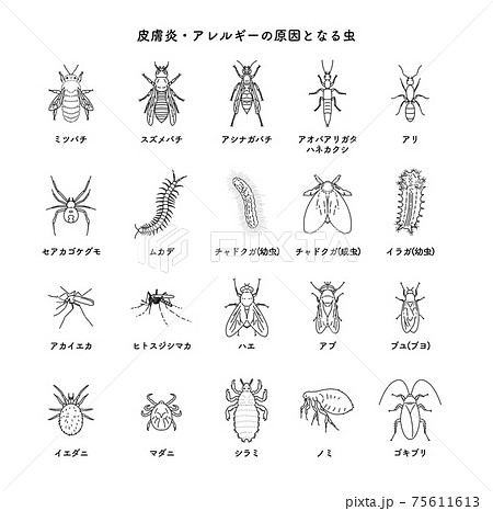 害虫のイラスト素材