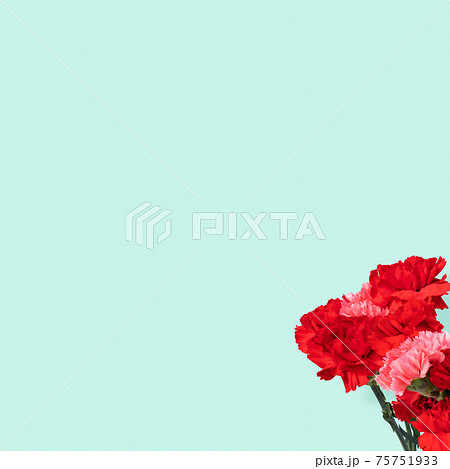 バラの花びら 花びら テクスチャ 背景素材のイラスト素材