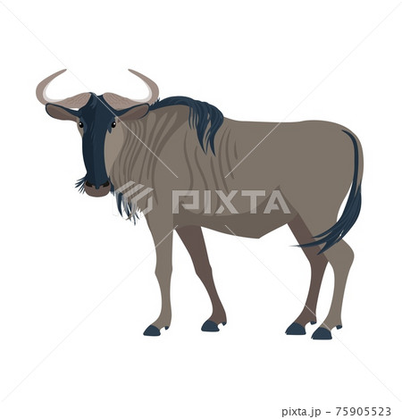 ヌー 動物のイラスト素材