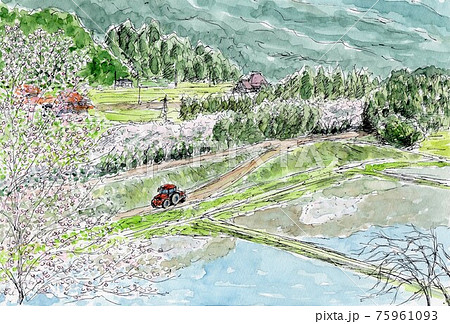 水彩画 風景 桜 田舎の写真素材 - PIXTA