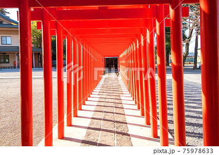 宇迦之御魂神の写真素材 - PIXTA