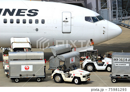 Jal 飛行機の写真素材