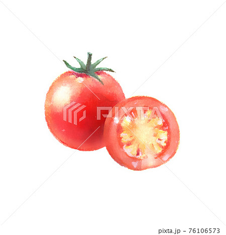 ミニトマト栽培のイラスト素材