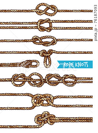 結び目のイラスト素材