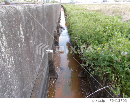 汚い川 ドブ川 水の写真素材