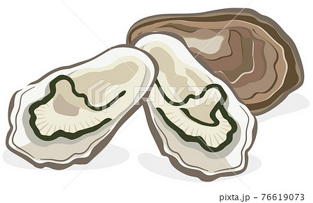 牡蠣のイラスト素材