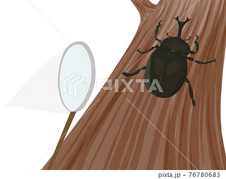 虫 甲虫 昆虫 カブトムシのイラスト素材