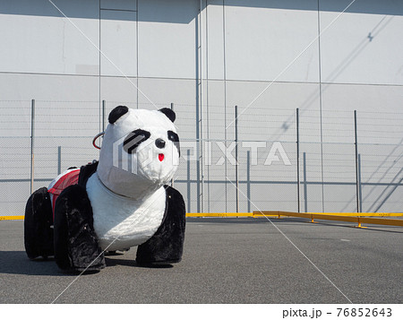 乗り物 パンダ 遊園地の写真素材