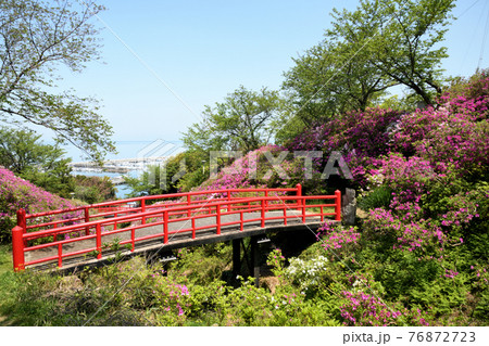 淡輪遊園の写真素材