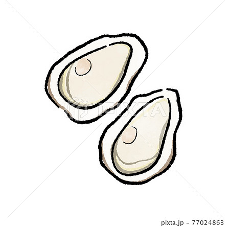 牡蠣 ベクター イラスト かわいいの写真素材