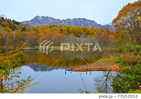 小鳥ヶ池の写真素材 - PIXTA