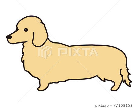 犬 動物 イラスト 横向きの写真素材