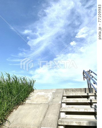 階段 雑草 土手 河川敷の写真素材