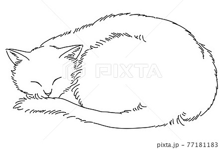 寝る 寝顔 猫 イラストのイラスト素材