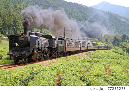 静岡県 蒸気機関車 C56-44 SLの写真素材 - PIXTA
