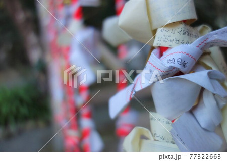 恋みくじ おみくじの写真素材 恋みくじ おみくじの写真素材