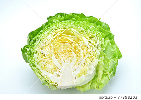 キャベツ 緑黄色野菜 春キャベツ 野菜の写真素材