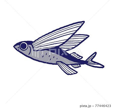 トビウオのイラスト素材