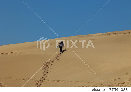 子供 鳥取砂丘 砂丘 小学生の写真素材