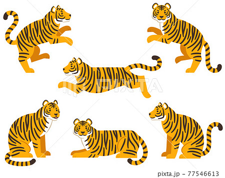 四足歩行 動物の写真素材