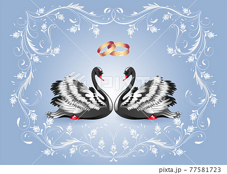 白鳥 白い鳥 二羽の鳥のイラスト素材 - PIXTA