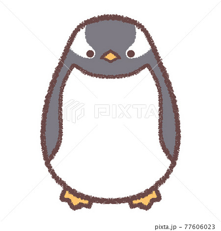 ペンギン ジェンツーペンギン かわいい イラストのイラスト素材