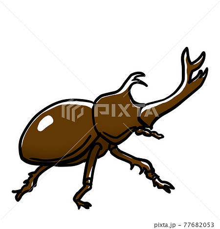 昆虫 虫 甲虫 カブト虫のイラスト素材