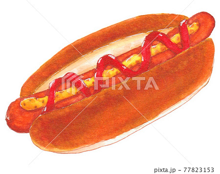 ホットドッグのイラスト素材