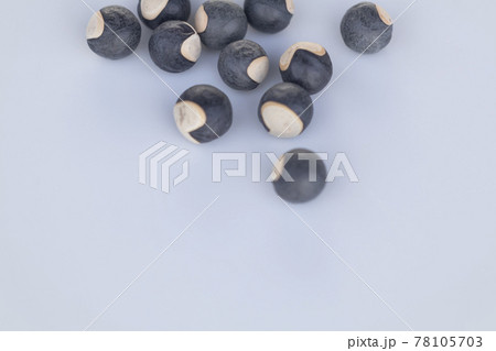 フウセンカズラ 花 鉢植えの写真素材