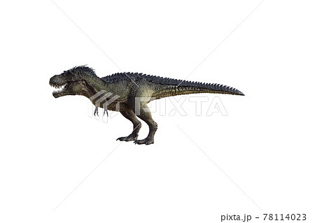 Tyrannosaurus Rex 3 Saddles and Poses ⋆ Freebies Daz 3D